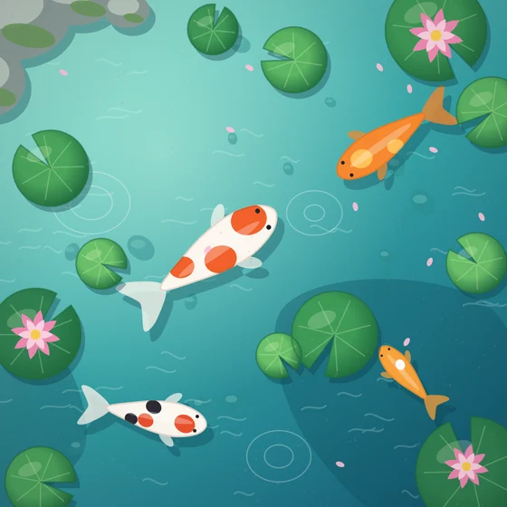 Koi Pond